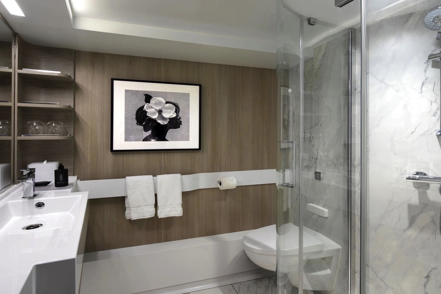 Celebrity Cruise Lines Celebrity Apex AquaClass Sky Suite 2.jpg